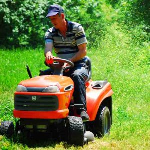 Making Silage from Lawn Clippings Image